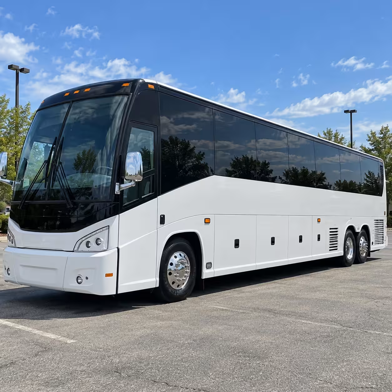 56 passenger charter bus