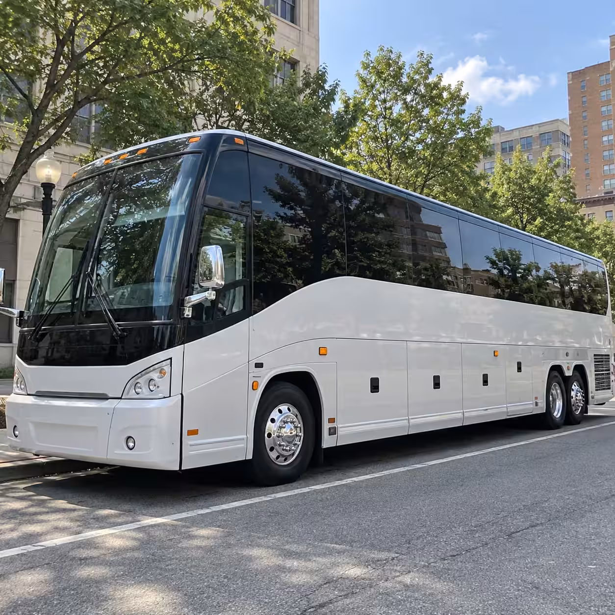 cary bridal party transportation for the wedding day